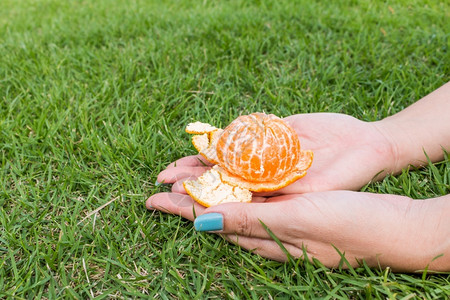 木制的女人手在草地上剥橙子皮抗氧化剂健康图片