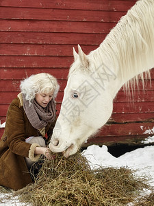 天友谊动物迷人的金发美女养一匹白马过冬日图片