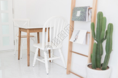 家具植物白色木制椅子的Retro风格股票照片图片