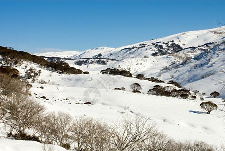 冬季雪景风光雪地高清图片素材