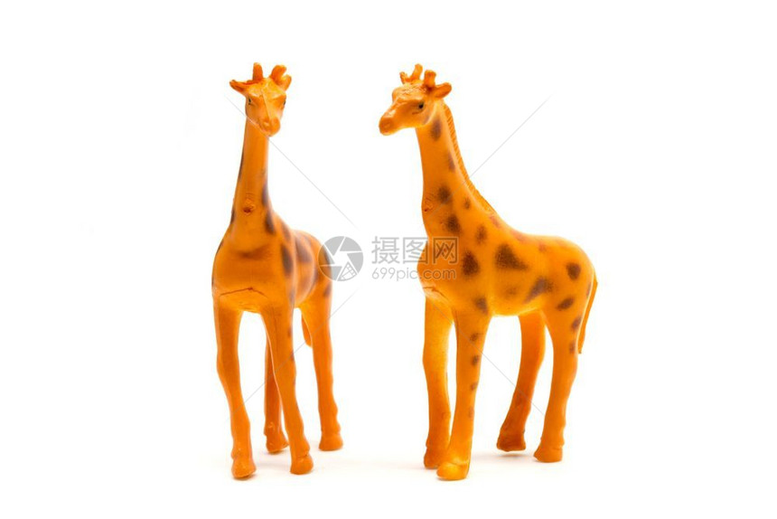哺乳动物白底孤立的长颈鹿模型动物玩具塑料荒野雕像图片