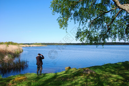 冷静的春天在瑞典奥兰岛观鸟北欧的树叶图片