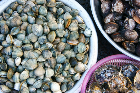 婆婆指甲菜空气吃可口在越南露天市场展示新鲜海食品卖鱼指甲是营养食物富有的奥米茄3健康饮食通常在沿海亚洲地区许多菜都是生背景