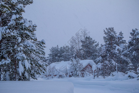 树深处的小房子所有东西都充满了积雪它正在森林大厦周围下雪瀑布上在森林大厦周围木头老的背景图片