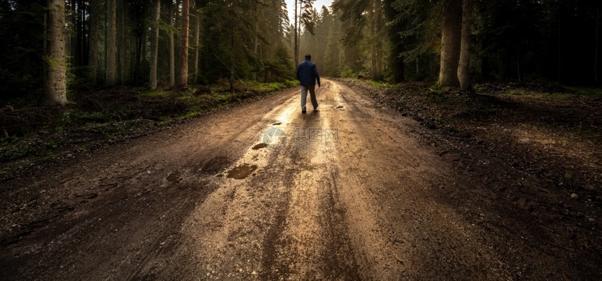 在森林中走迷雾道路上的孤单男人Silhouette植物孤独冒险图片