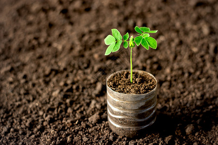 土壤上再生塑料瓶的种子植树概念和全球升温问题以及明亮的绿色模糊图片