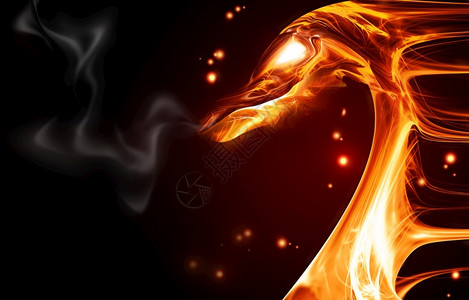 火龙钢花艺术烧伤动物黑暗背景的火龙设计图片