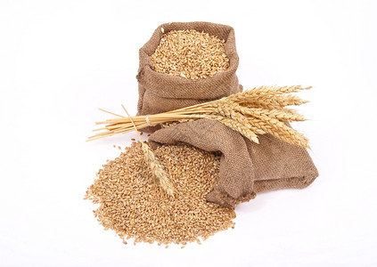 小麦谷和耳朵收成营养乡村的图片