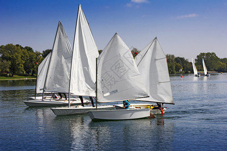 海洋横倾晴天在湖边许多小白船的运动中航行图片