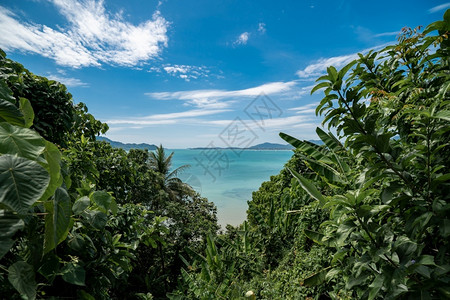 泰国普吉热带岛屿前景和海滩上有绿树泰国普吉晴天自然亚洲图片