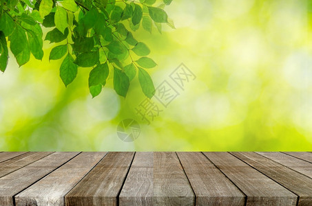 模糊木板白色的灰绿叶背景和抽象灰色绿叶背景图片