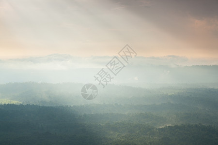 自然日光照耀着云彩吹入山丘和森林雾笼罩的山岳和树木环境蒙图片