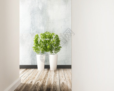 新鲜的绿色室内装饰的花朵地块真实图片