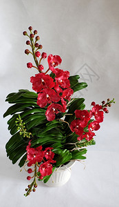 颜色陶土艺术白背景的Vanda兰花锅以红瓣为家装饰品的美丽花朵来自粘土的绿叶手工制作优雅背景图片