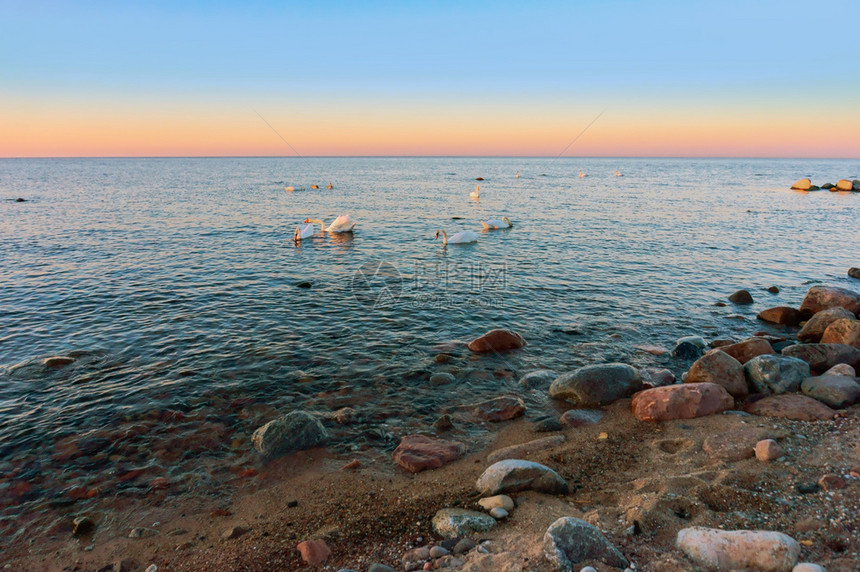 海上日落岸出上落地平线蓝色的俄罗斯图片