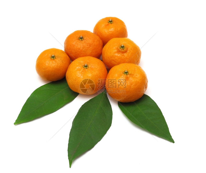 喝描述白背景与叶片分离的柑橘或普通番茄吃图片