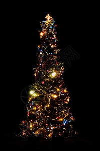 欣喜若狂夜晚的圣诞树灯水平季节黑色设计图片