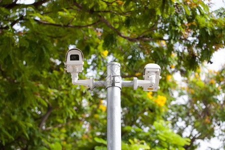 白色的两极中央闭路电视摄像机在线杆上公园一棵树下记录控制高清图片素材
