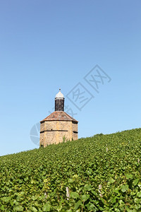 西鸽酒庄自然鸽子法国博乔莱斯Bagnols巴尼奥尔背景
