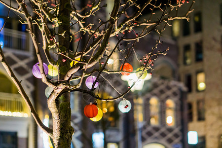 宏皂节日冬天各种样的以不同颜色灯笼为装饰的树上挂有灯笼的嵌入宏背景