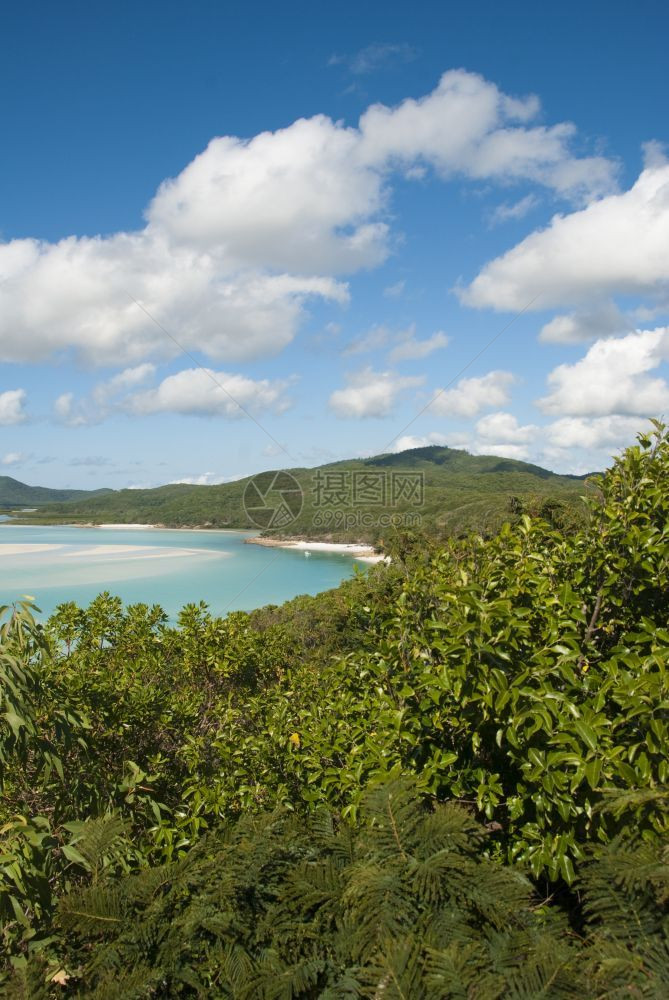 夏天白色的Whitsunday群岛白港海滩的景色令人惊艳伟大的图片