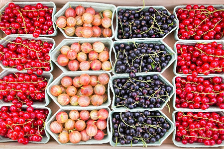 黑醋栗健康种类市场上有黑莓醋栗和的水果盘图片
