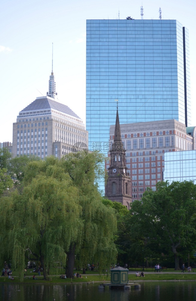 金融区看波士顿花园有棵流泪的柳树摩天大楼波士顿市图片