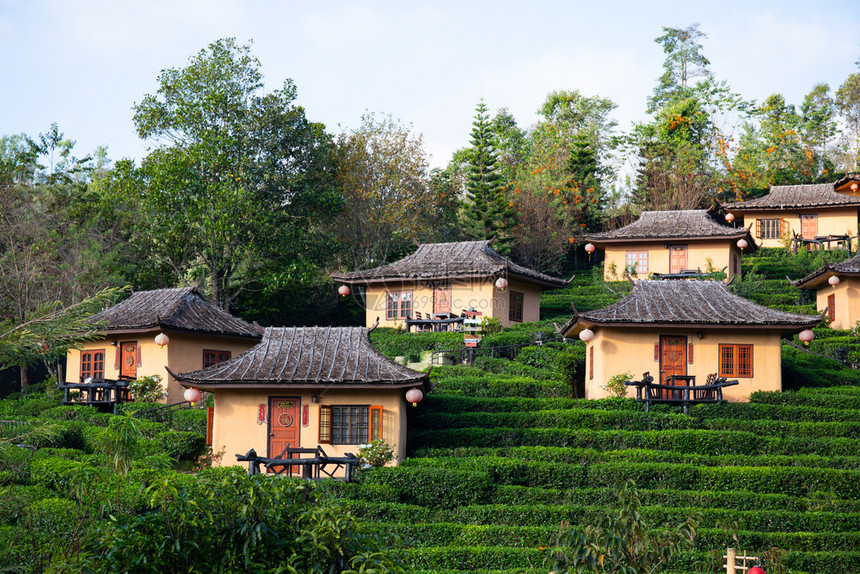 人BanRakThai泰国MeeHong儿子省风格的茶厂旅馆屋顶自然图片