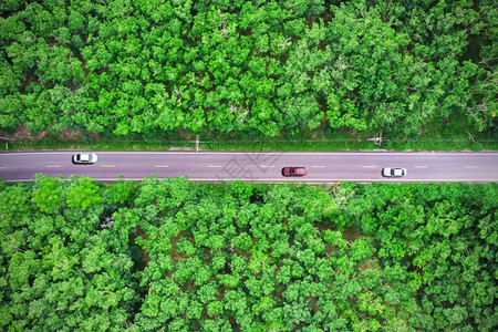 路过森林的公空中视线有一辆汽车经过森林草植物景观背景图片
