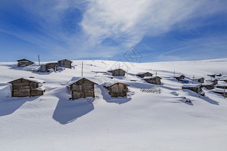 森林高地房屋和雪中多云的天空下雪旅游图片