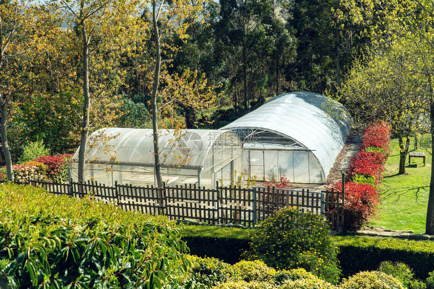 河西班牙科鲁纳公共园的可塑温室西班牙园艺概念植物学晴天图片