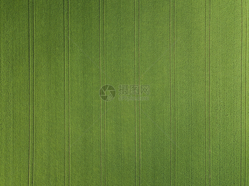 空中观察从上面看的耕地绿化田农场色天气图片