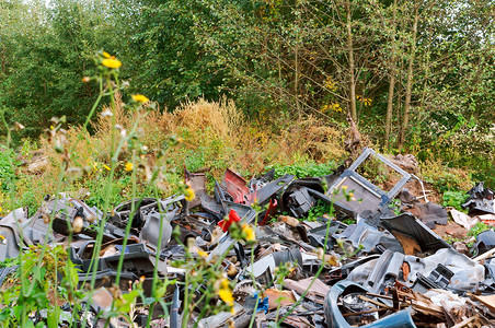 森林垃圾场人为污染森林垃圾场危险俄罗斯绿色图片