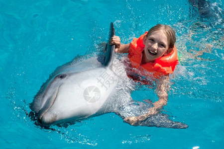 笑脸女孩与海豚一起游泳图片