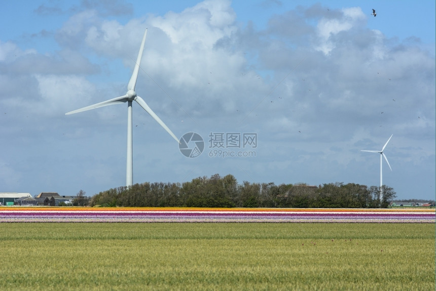 田野里的风力发电风车图片