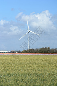 田野里的风力发电风车图片