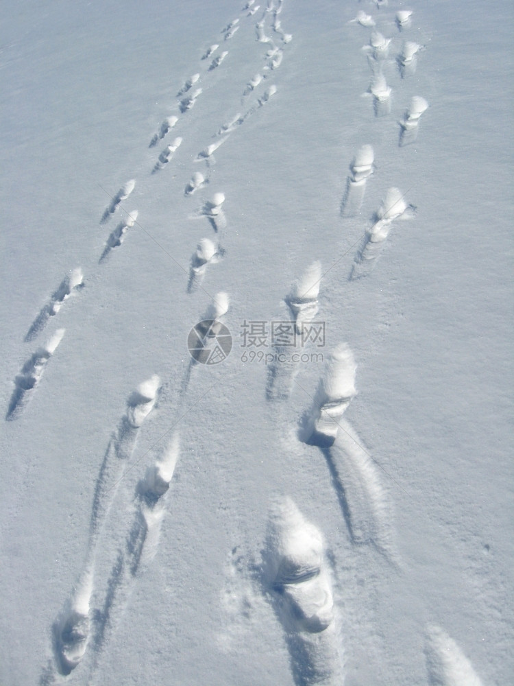 分段厚的外出人和在雪上留下的痕迹不是蓝天的背景春图片
