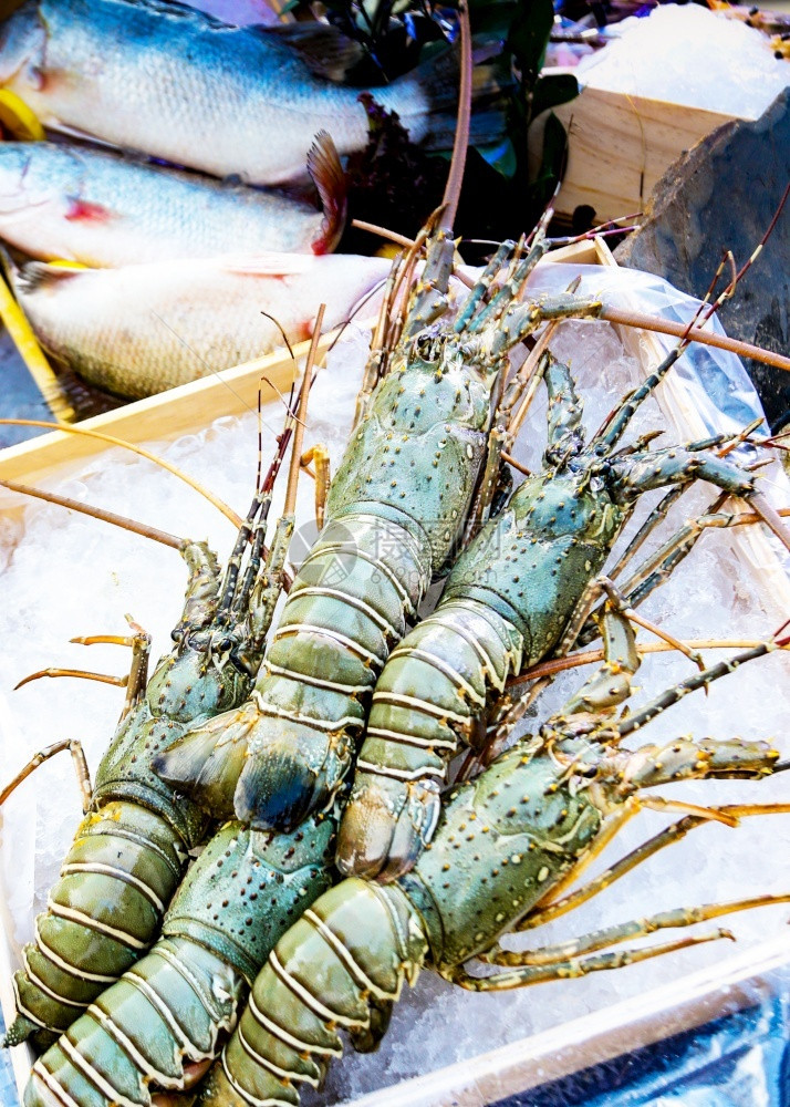 鱼冰上新鲜龙虾街边食物海鲜市场龙虾关闭生活海洋图片