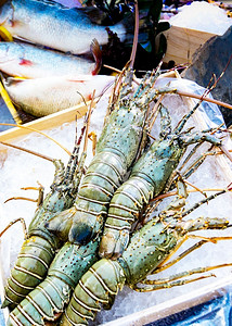 鱼冰上新鲜龙虾街边食物海鲜市场龙虾关闭生活海洋美食高清图片素材