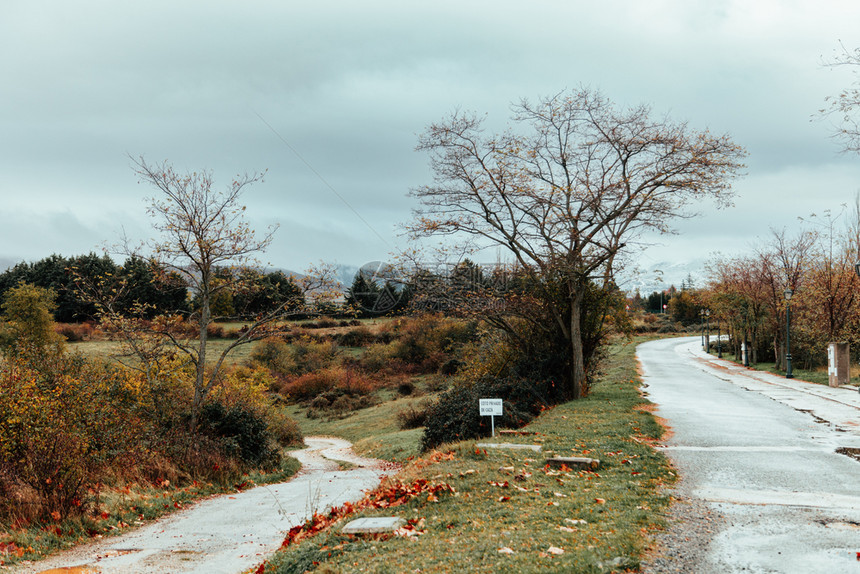 在雾山附近的森林中走过道路户外草自然图片