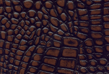 人造皮肤动物织服装棕色和黑鳄鱼皮质插画