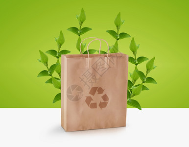 生活自然友好带有绿色树枝和回收标志生态意识概念的纸袋图片