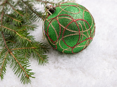 下雪的植物新年假日背景绿色圣诞舞会和树枝与雪的对比快乐图片