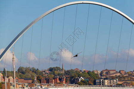 城市景观王国飞行英格兰纽卡斯尔盖世头千年脚桥飞鸟和建筑物的拱门图片
