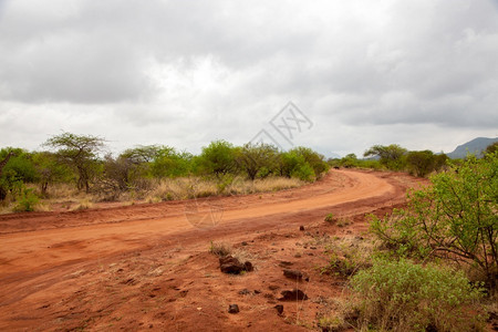 热带草原的风景在肯尼亚的旅游中红土方式非洲人生态图片