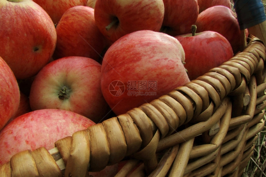 目的维生素编织果汁苹在篮子中提取背景是丰收的图片