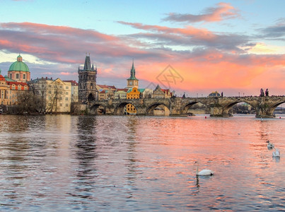 著名的布拉格伏尔塔瓦河和查斯桥反射欧洲的图片