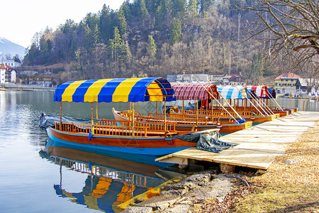 斯洛文尼亚Bled湖上的传统木制船只流血自然蓝色的图片