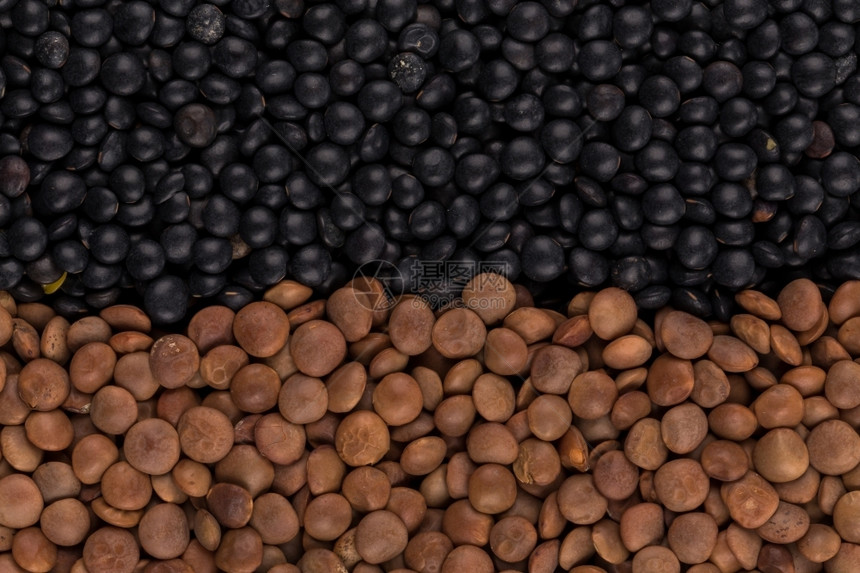 白色的各种颜豆类混合物背景扁豆美食有机的图片