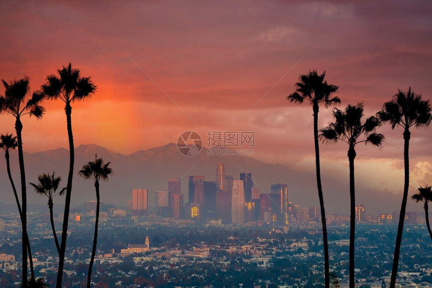 美国洛杉矶市下城中心天际洛杉矶市风景区棕榈建造图片